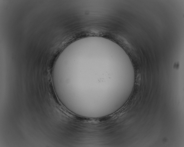 X0000091670318200708231019