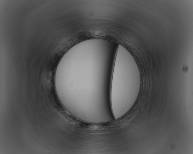 X0000091670319200708231019