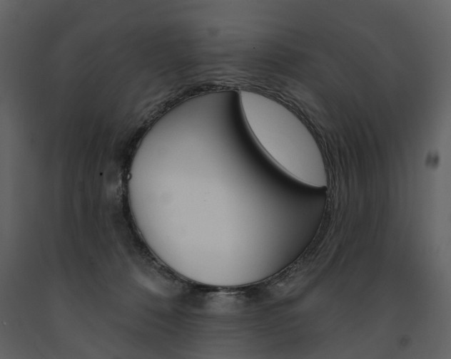 X0000091670320200708231019