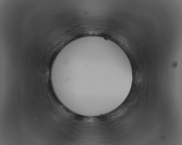 X0000091670321200708231019