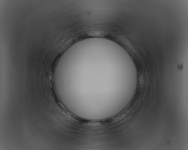 X0000091670322200708231019