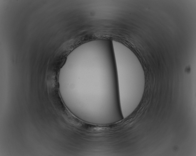X0000091670323200708231019