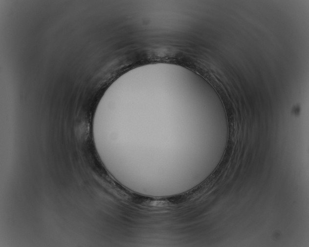 X0000091670324200708231019