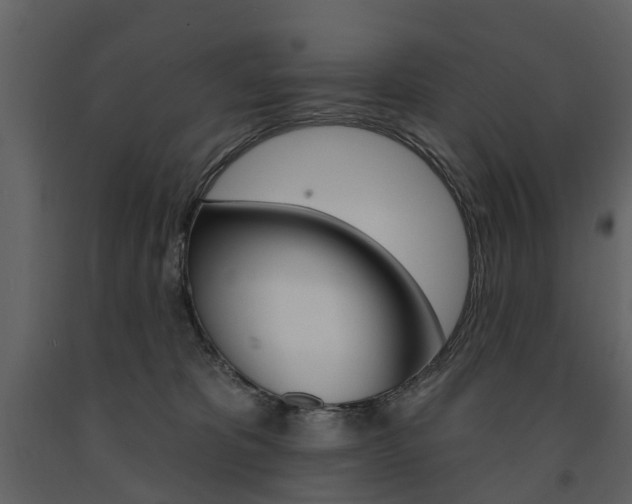 X0000091670325200708231019
