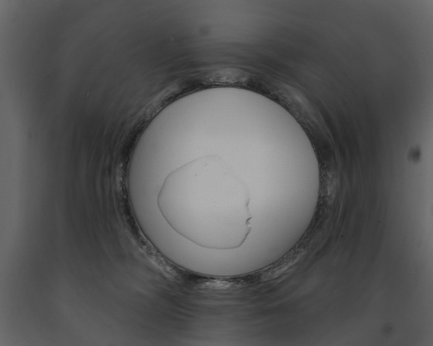 X0000091670326200708231019