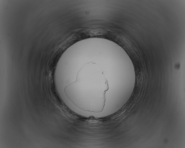 X0000091670327200708231019