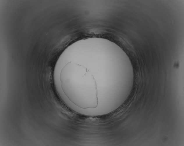 X0000091670328200708231019
