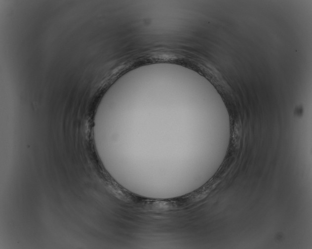 X0000091670330200708231019