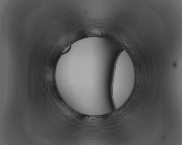 X0000091670331200708231019