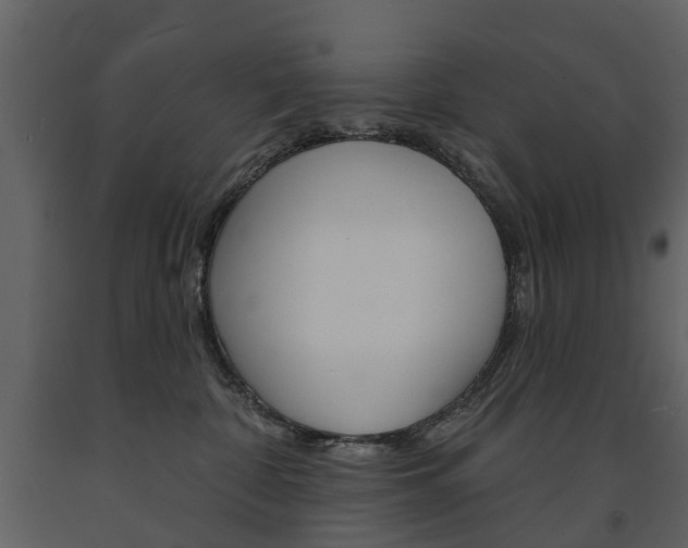 X0000091670332200708231019