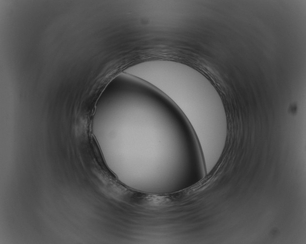 X0000091670333200708231019