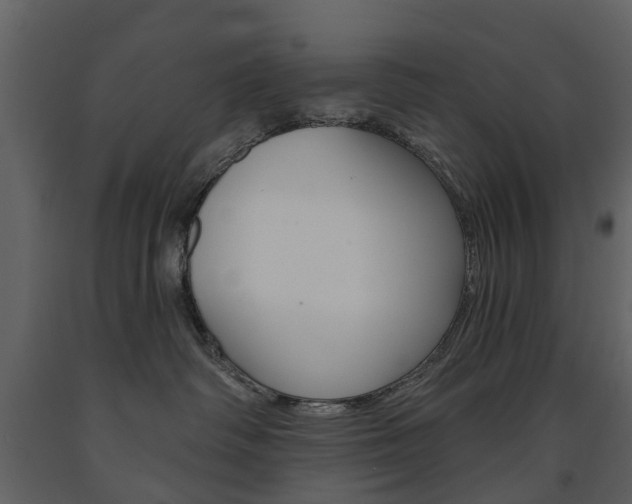 X0000091670334200708231019