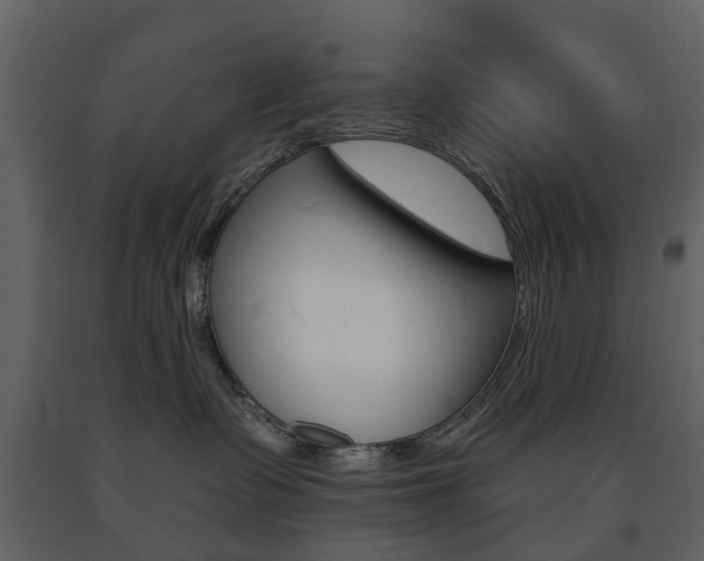 X0000091670335200708231019