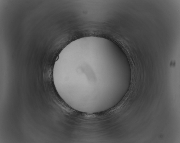 X0000091670336200708231019