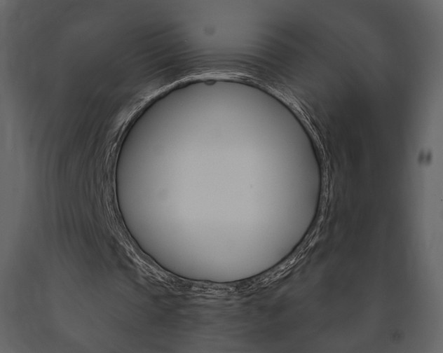 X0000091670337200708231018