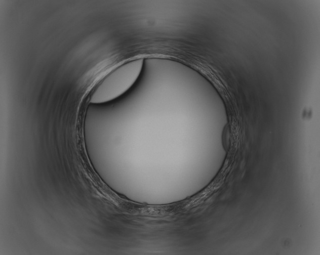 X0000091670338200708231018