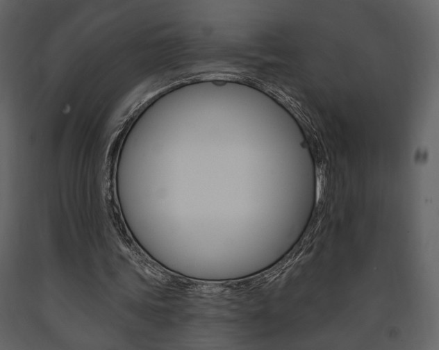 X0000091670339200708231018