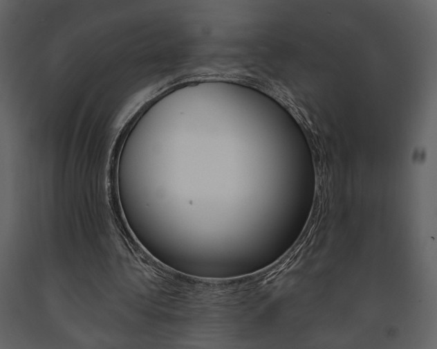 X0000091670340200708231018