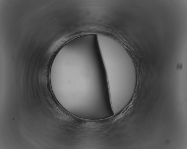 X0000091670341200708231018