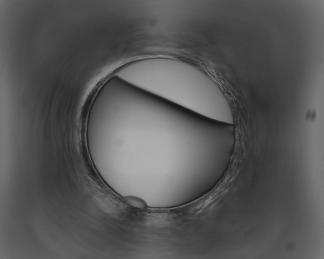 X0000091670342200708231018
