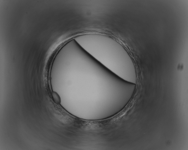 X0000091670343200708231018