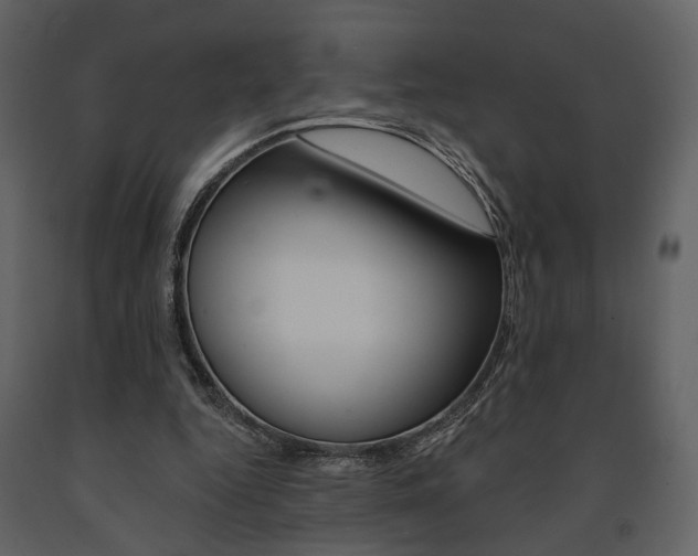 X0000091670344200708231018
