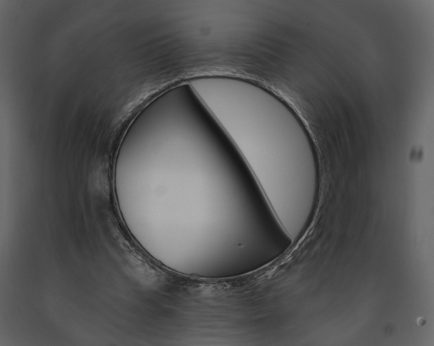 X0000091670345200708231018