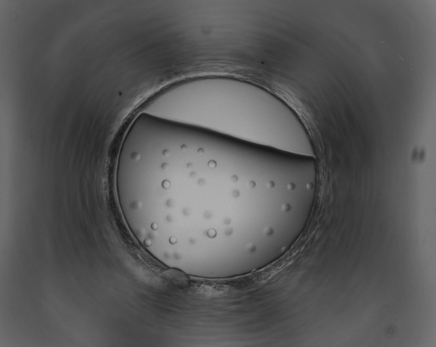 X0000091670346200708231018