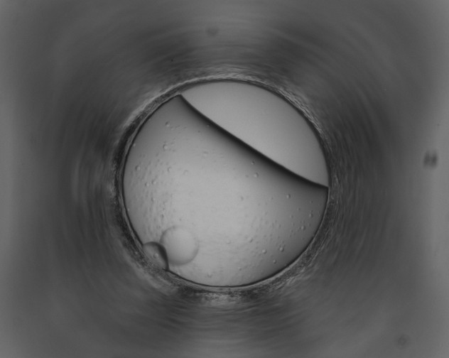 X0000091670347200708231018