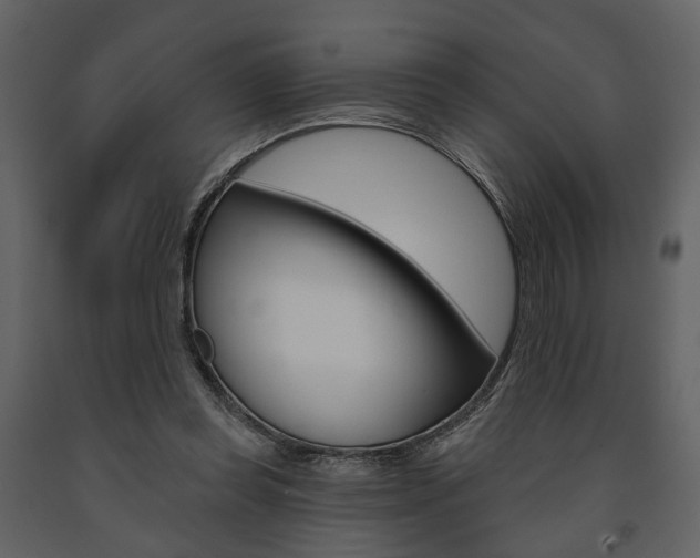 X0000091670349200708231018