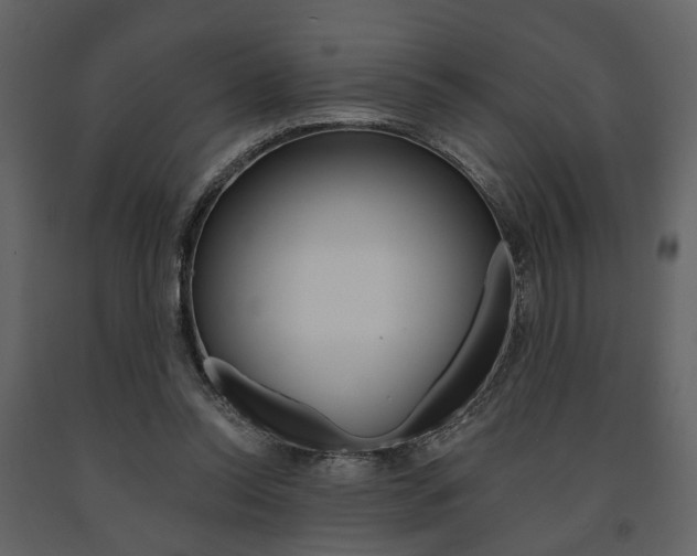 X0000091670350200708231018
