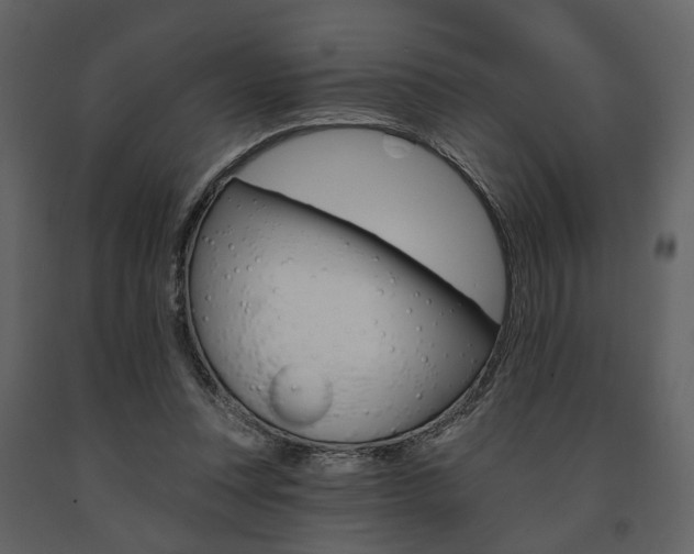 X0000091670351200708231018