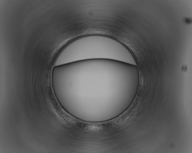 X0000091670352200708231018