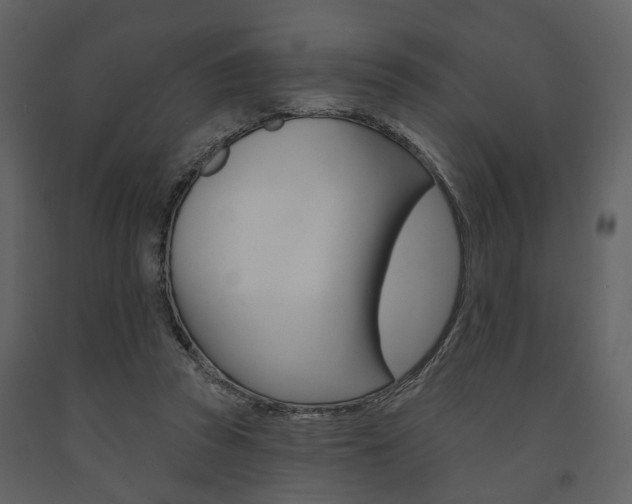 X0000091670353200708231018