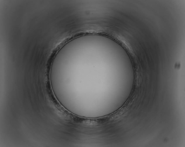 X0000091670354200708231018