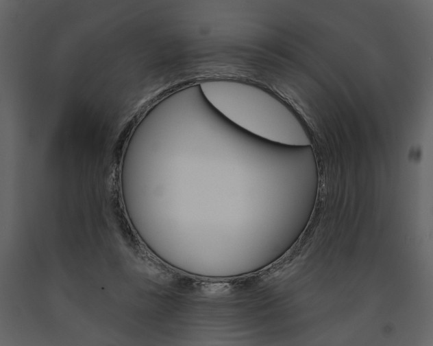 X0000091670355200708231018