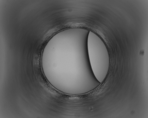 X0000091670357200708231018