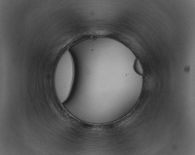 X0000091670358200708231019