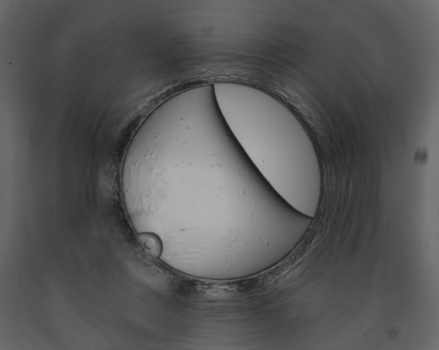 X0000091670359200708231019