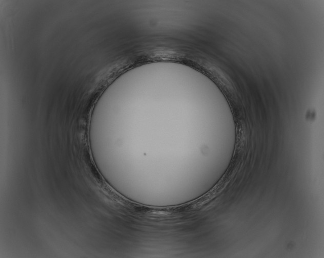 X0000091670361200708231019