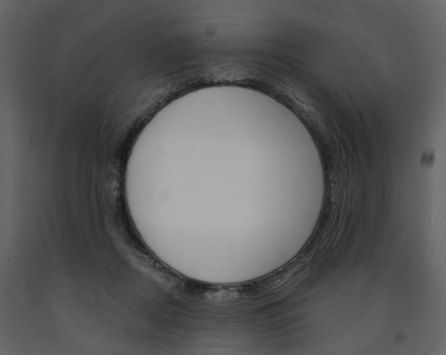 X0000091670362200708231019