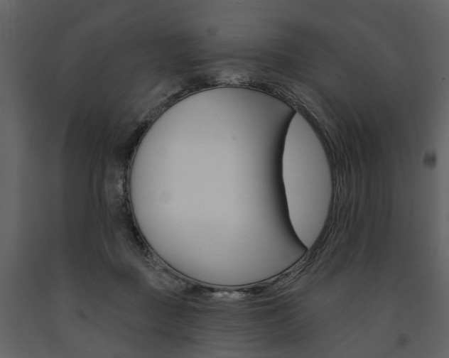 X0000091670363200708231019
