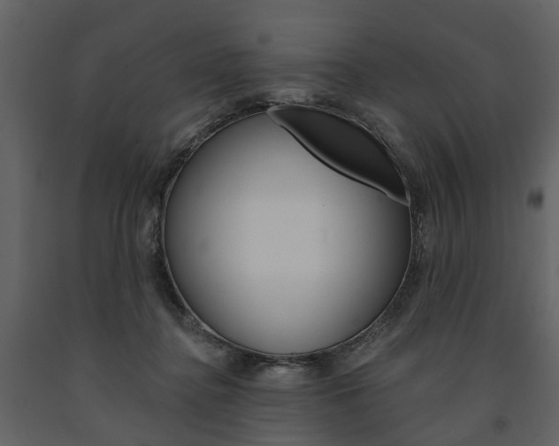 X0000091670364200708231019