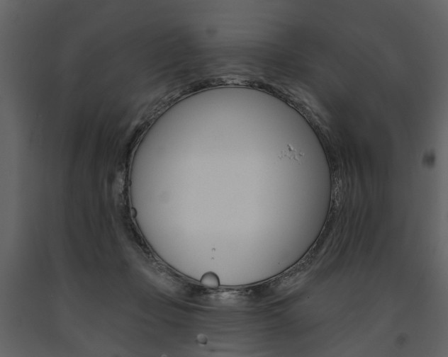 X0000091670365200708231019