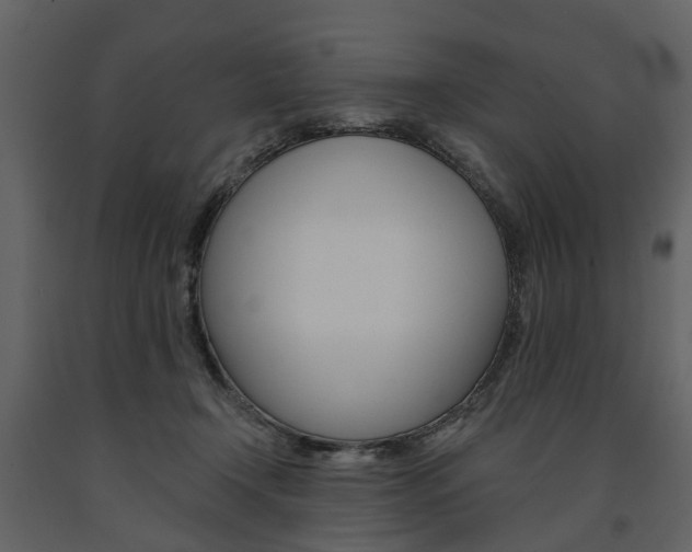 X0000091670366200708231019