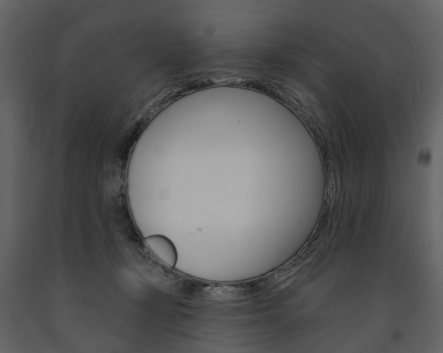 X0000091670367200708231019