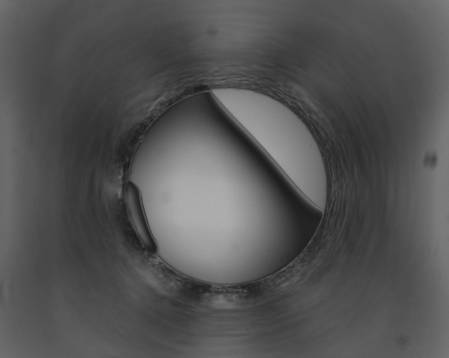 X0000091670368200708231019