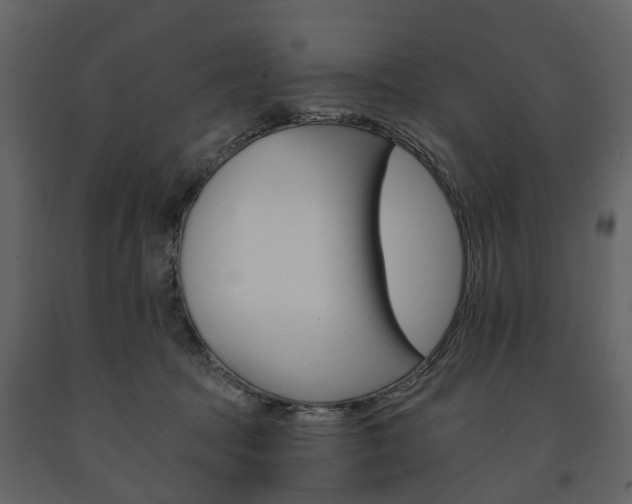 X0000091670369200708231019