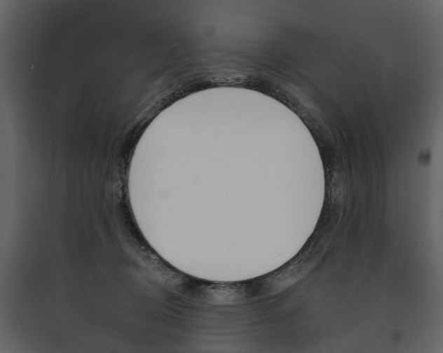 X0000091670370200708231019