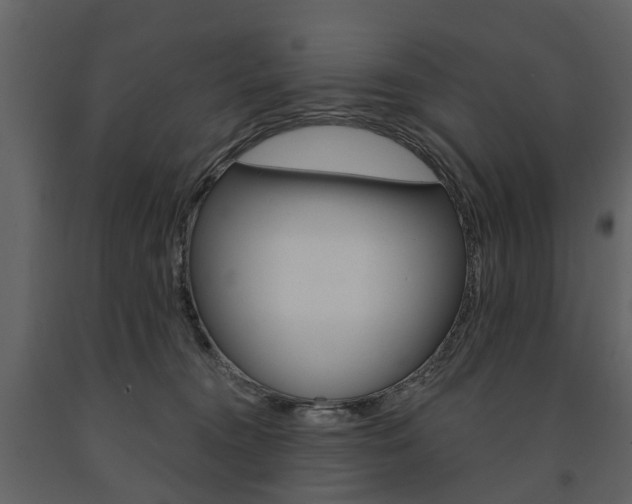 X0000091670372200708231019